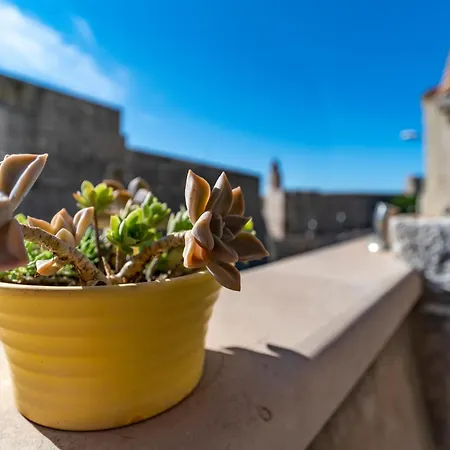Vecchia Apartament Dubrownik
