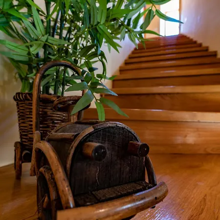 Apartament Vecchia Dubrownik